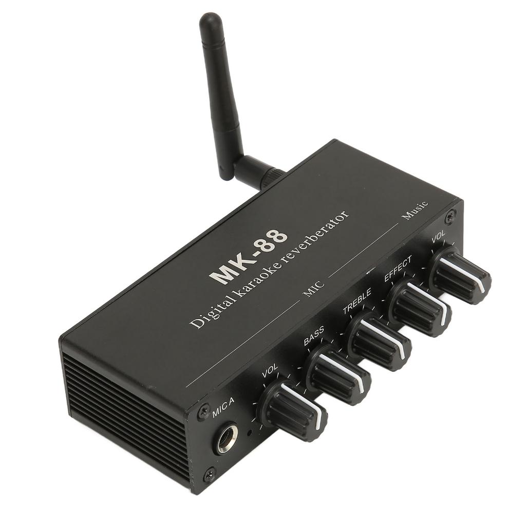 6,5 мм караоке-микшер из алюминиевого сплава с двойным микрофонным входом, портативный цифровой ревербератор для караоке для