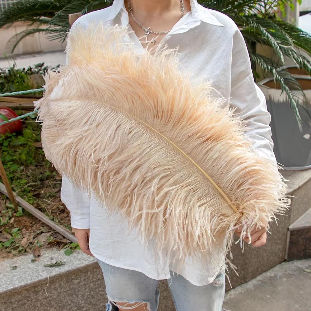 15-60Cm Natural Ostrich Feathers | High-Quality For Diy, Wedding, Party, Stage, Costume & Home Decor | Various Colors Available