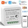 16A Tuya WiFi Умный Модуль Переключателя Умный Дом 2-канальный MiNi DIY Размыкатель Света Таймер Голосовое Управление Работает с Alexa Google Home