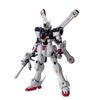 MG 1/100 XM-X1 Crossbone Gundam X-1 Ver.Ka (Mobile Suit Crossbone Gundam)