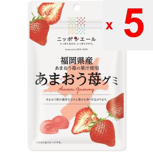 JA Nippon Ale Fukuoka Amao Strawberry Gummi 40 гБренд Nippon Ale с крылатой фразой «рожденный в Японии», бренд N Nippon Ale с крылатой фразой «рожденный в Японии»,
