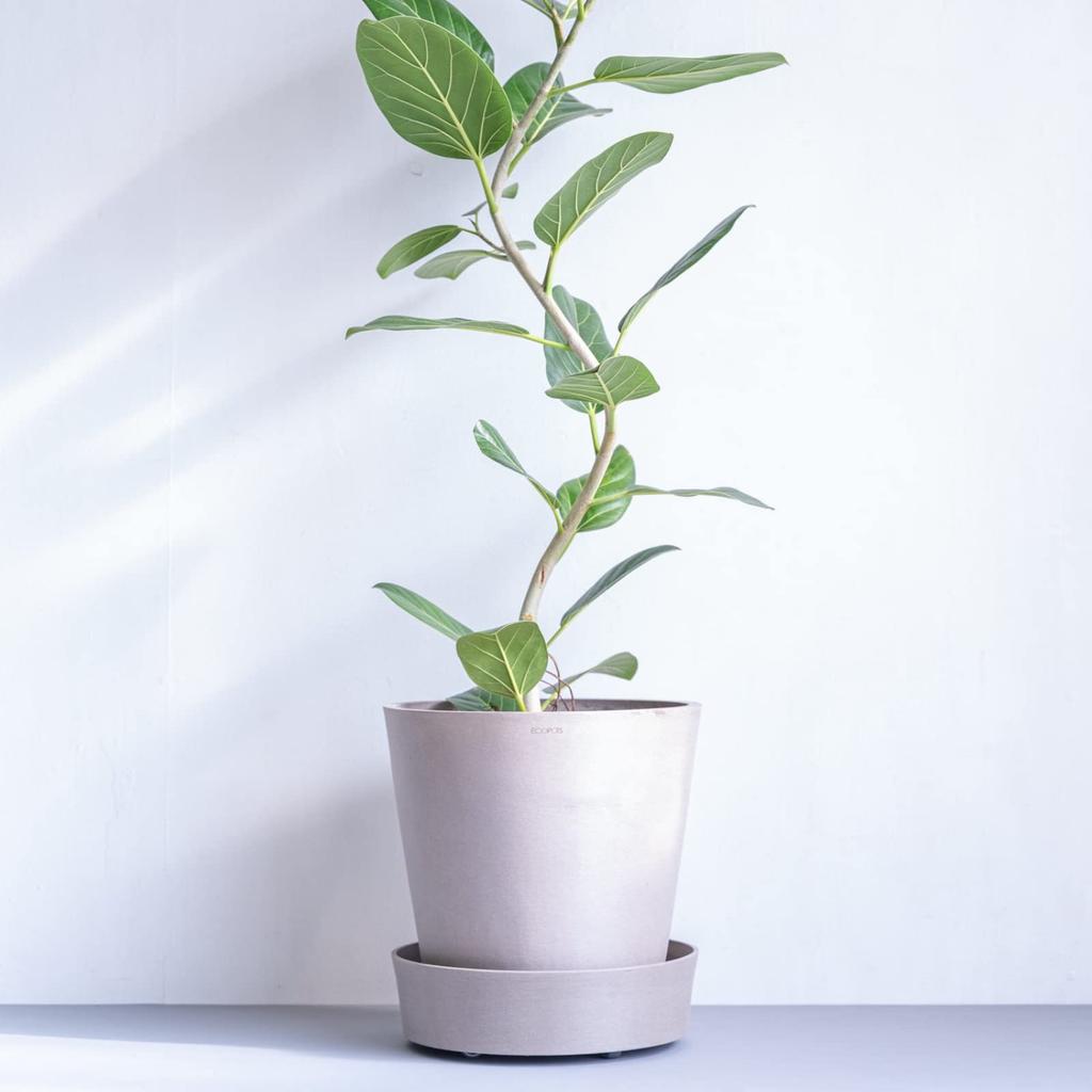 Поддон для горшка ECOPOTS размером Ecopots Amsterdam И РАСТЕНИЯ на колесиках, 10, 12, L, XL, (Серо-коричневый, L)