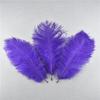 10 шт. Натуральные окрашенные пушистые мягкие страусиные перья для рукоделия, DIY, вышивки, изготовления ювелирных изделий, платьев, свадебных украшений 25-30 см
