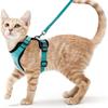 Cat Harness and Leash for Walking, Escape Proof Soft Adjustable Vest Harnesses for Cats, EasyControl