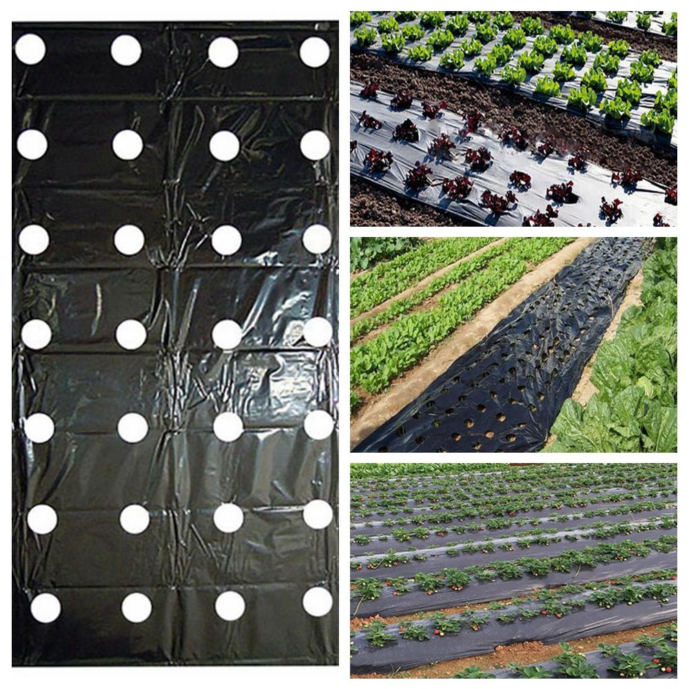 Grow Greenhouse Weeding Keep Warm Garden Supplies Mulch Film Perforated Film Agriculture Supplies