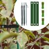 Heavy Duty Tree Stake Kit Stakes and Supports Sturdy Guying Staking Newly Planted Saplings