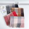 5-Color 2024 Autumn And Winter New Item Imitation Cashmere Tassel Thickened Warm Scarf Plaid Fashion Versatile Shawl Scarf For Men And Women