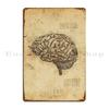 Анатомия человеческого мозга Анатомический мозг На эскизах Леонардо да Винчи Металлическая табличка Постер Печать для гаража Стена Пещера Жестяной знак Постер