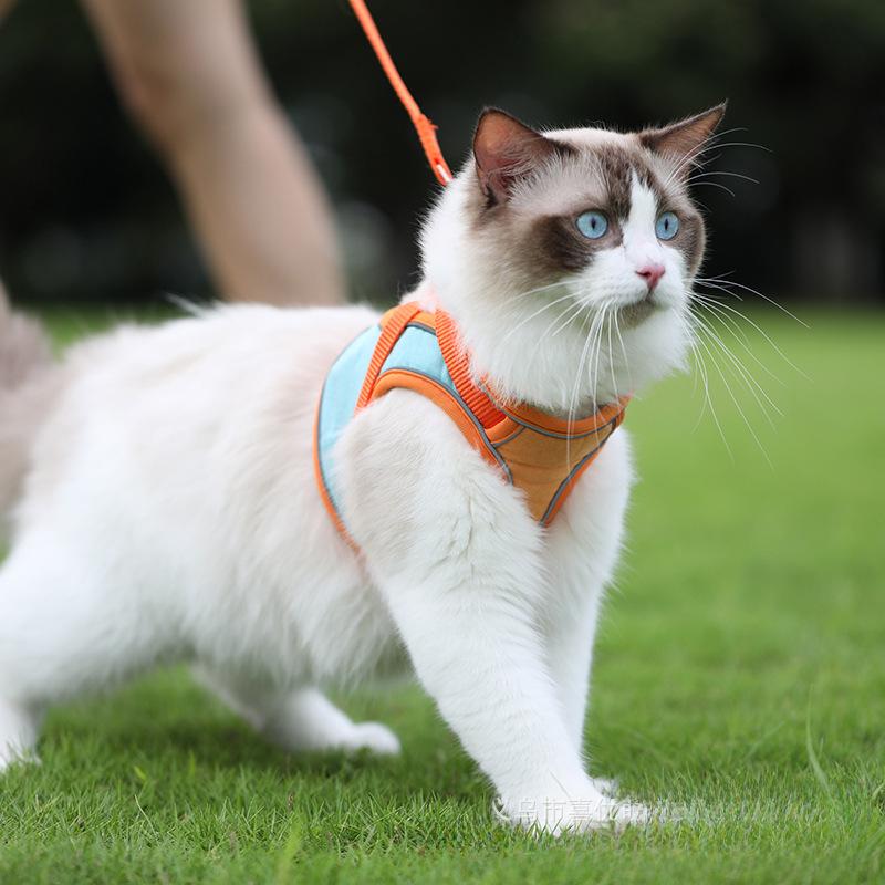 Светоотражающая шлейка для кошек в виде жилета с поводком, препятствующим линьке