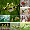 5D DIY Diamond Painting Frog Rhinestone Picture Kit Full Round Diamond Embroidery Mosaic Home Decoration Gifts