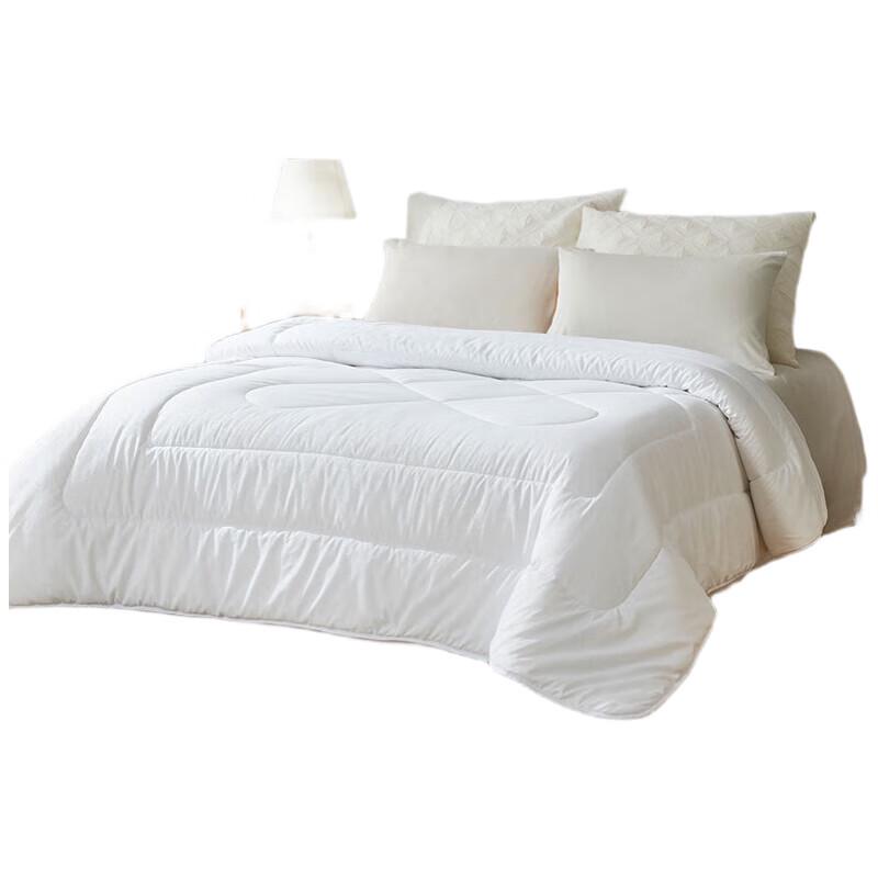 LUOLAI Xinya Tussah Silk Blend Spring Autumn Quilt