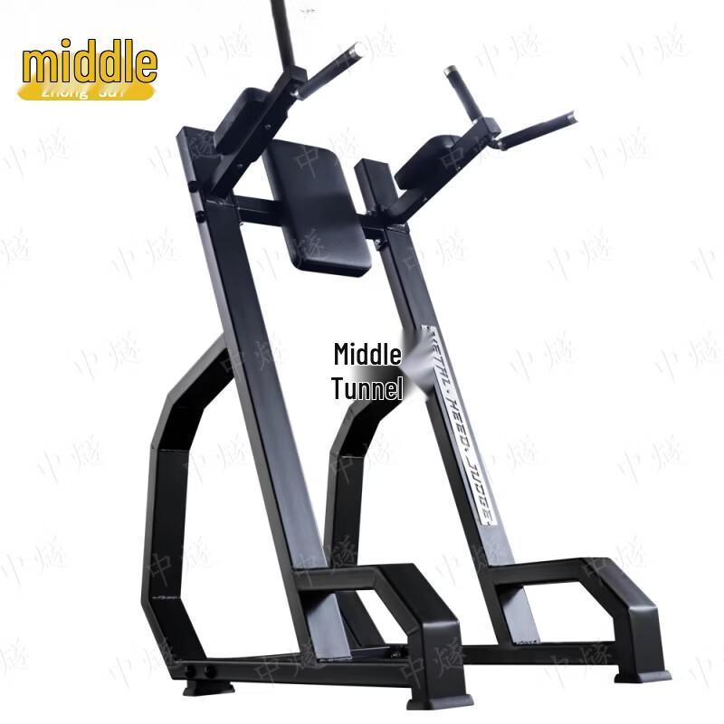 Double Bar Knee Raise Trainer