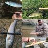M MAXIMUMCATCH Maxcatch Tenkara удилище Tenkara удилище Mountain Stream удилище Fly Fishing удилище телескопическое карбоновое трубчатое размер Tenkara Fishing Triple (10/11/12/13 футов)