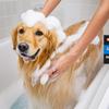 Colorful Pet Bath Scrubber-soft & Powerful Foaming Bath Strip Towel for Dogs & Cats Showering, Ideal Cleaning for Pet Bathing
