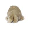 AQUA Plush Toy Marine Grey Seal New Model SS 00100101