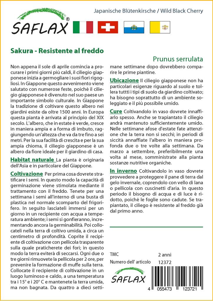 SAFLAX Wild Black Cherry - 30 семян - С горшечным субстратом для лучшего выращивания - Prunus serrulata