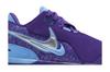Men's Sneakers Nike Zoom LeBron NXXT Gen AMPD Summit Lake Hornets Field Purple/Metallic Silver/University Blue