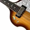 Dancing Hummingbird Guitar and Instrument Inlay Sticker