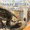 Harry Potter and the Goblet of Fire by J.K. Rowling Paperback Book 9781526679864