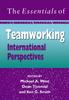 Книга The Essentials of Teamworking : International Perspectives