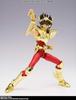 BANDAI SPIRITS Saint Cloth Myth EX Pegasus Seiya Bronze LIMITED NATIONS TOKYO (Новая Ткань) ~ЗОЛОТОЕ ИЗДАНИЕ~ (ТАМАШИИ ограниченный)
