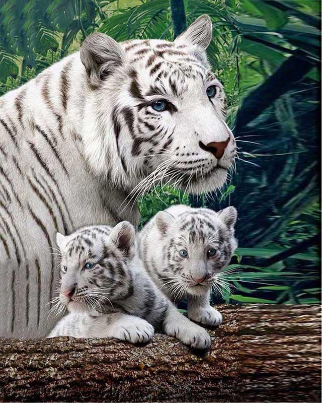 Набор для алмазной живописи животное 5D DIY Алмазная вышивка Белый тигр картинки из стразов мозаика распродажа набор для рукоделия