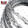 Concertina Razor Wire