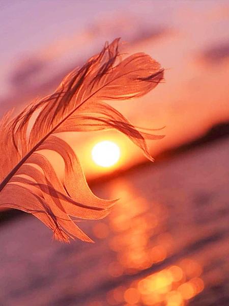 5D DIY алмазная живопись закат набор для вышивки крестом Алмазная вышивка перо мозаика пейзаж распродажа картина стразы искусство