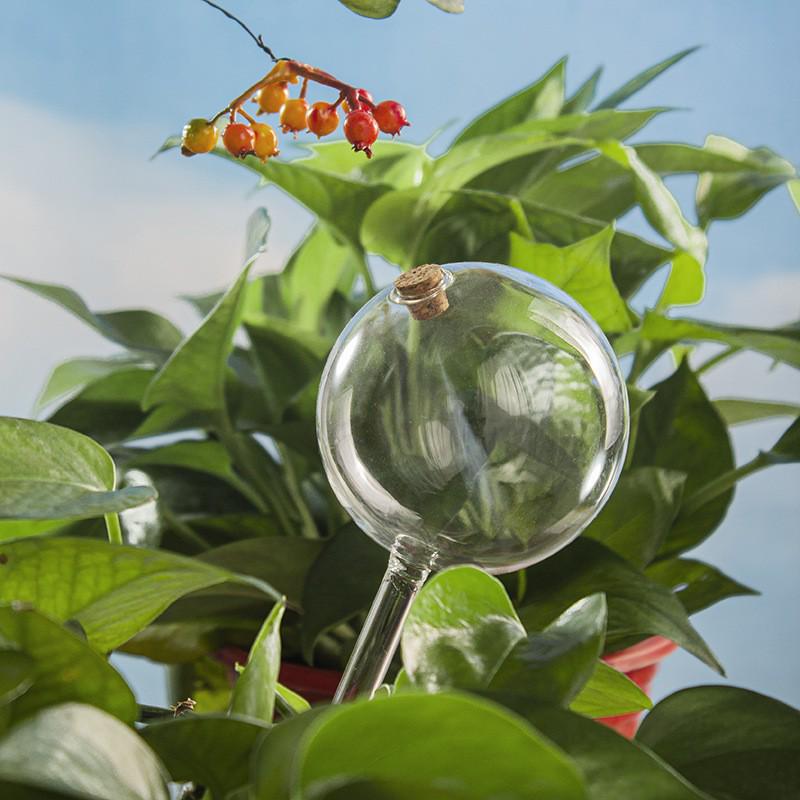 Mushroom Glass Drip Irrigation Device for Potted Plants