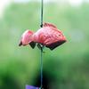 Cast Iron Japanese Koi Fish Wind Chime, Small Outdoor Feng Shui Temple Bell, Garden, Lawn, Patio Decor, Battery-Free, No Power Needed