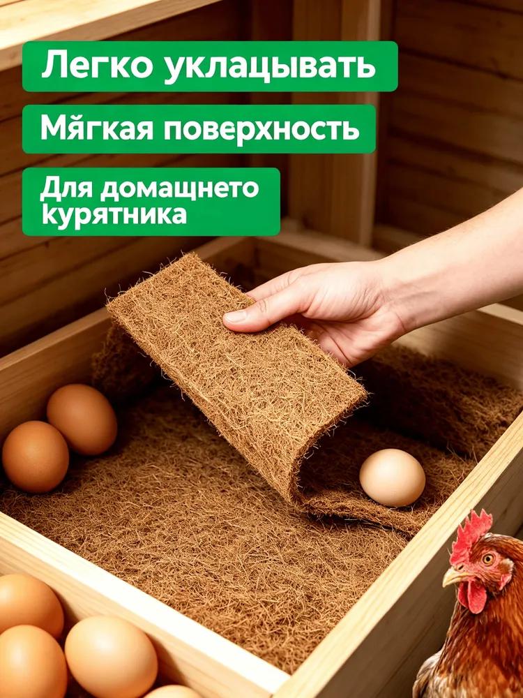 Chicken Coop & Poultry House Accessories