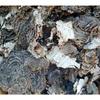 Органический чай из гриба Рейши (Turkey Tail) Травяной чай Натуральная поддержка энергии 500 г