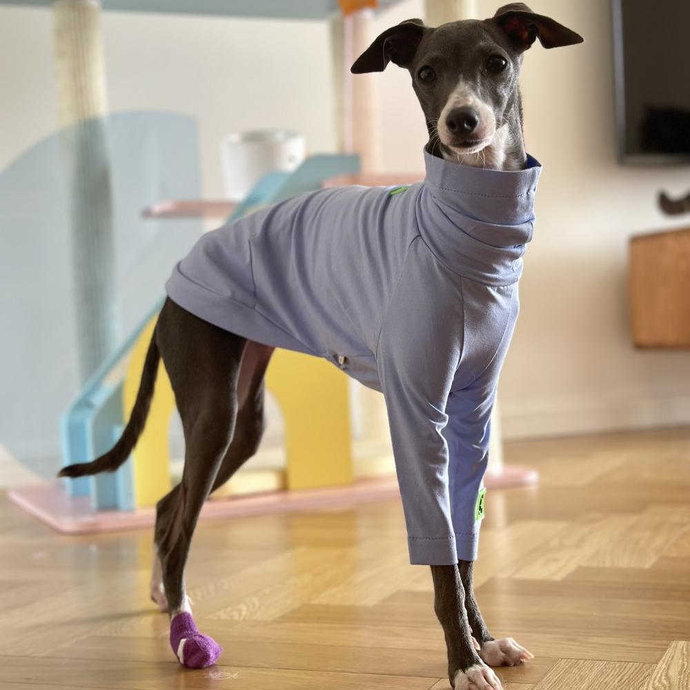 Мягкая голубая хлопковая футболка для Huibit, одежда для собак, эластичное весенне-осеннее пальто для Bedlington Little Greyhound, пижама с высоким воротом