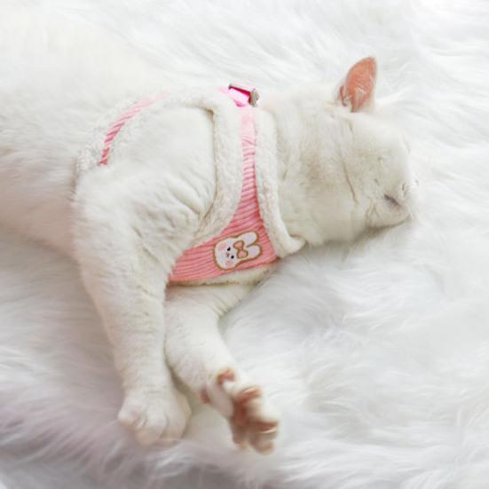 1 комплект поводка для домашних животных, мягкая ручка, застежка, лента, пряжка, дизайн, защита от побега, устойчивая к разрыву мягкая подкладка