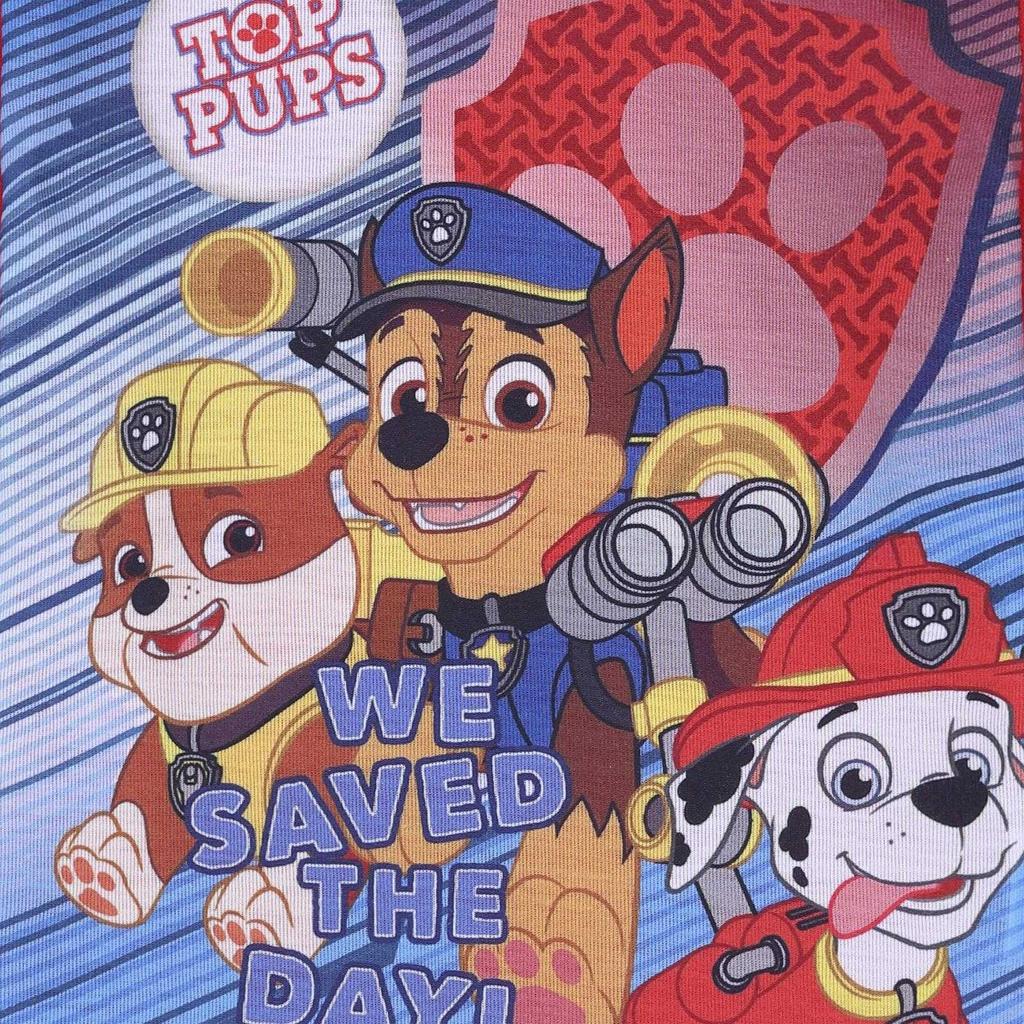 Paw Patrol Boys We Saved The Day Pyjama Set