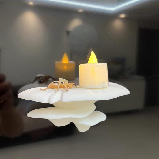 Mushroom Shape Bracket, Double Purpose Stand for Displaying And Storing Items, Wall Decoration Shelf for Glass Tiles Smooth Surfaces