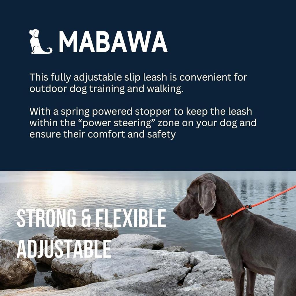 Dog Anti-Slip Leash 5FT with Metal Stopper - Durable No-Pull Training Lead for Small, Medium & Large Dogs - Comfortable Handle Nylon Rope,