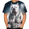 Summer Men's T-shirt Fierce Bulldog 3D Printed Cool Design Personalized Harajuku Style Boxing T-shirt Fashion Streetwear