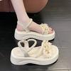 Fairy Style with Skirt Platform High Heels Beach Sandals Summer New French Flower Sandals Female