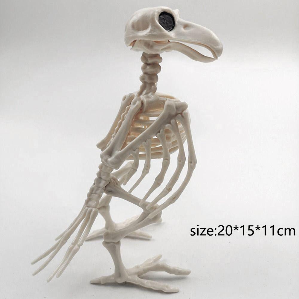 Halloween Prop Plastic Halloween Decoration Animal Skeleton Bones Crow Skeleton Skeleton Raven