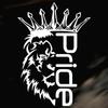Die-Cut Vinyl Decal Lion Pride Car Sticker Waterproof Auto Decors