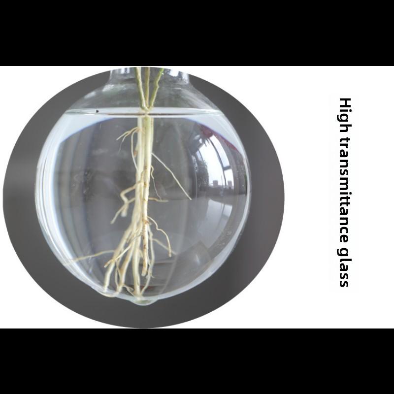 Creative Wooden Frame Hydroponic Vase Dill Plant Transparent Glass Flower Arrangement Container Desktop Ornament Home Decoration Products