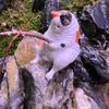 Cat Fishing Ornament Fish Tank Scenery Cat Fishing Weather Leisure Cat Fishing Cat Hanging Decorations