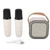 Portable Karaoke Machine Excellent Sound Quality Wireless Bluetooth Speaker with 2 Microphone for