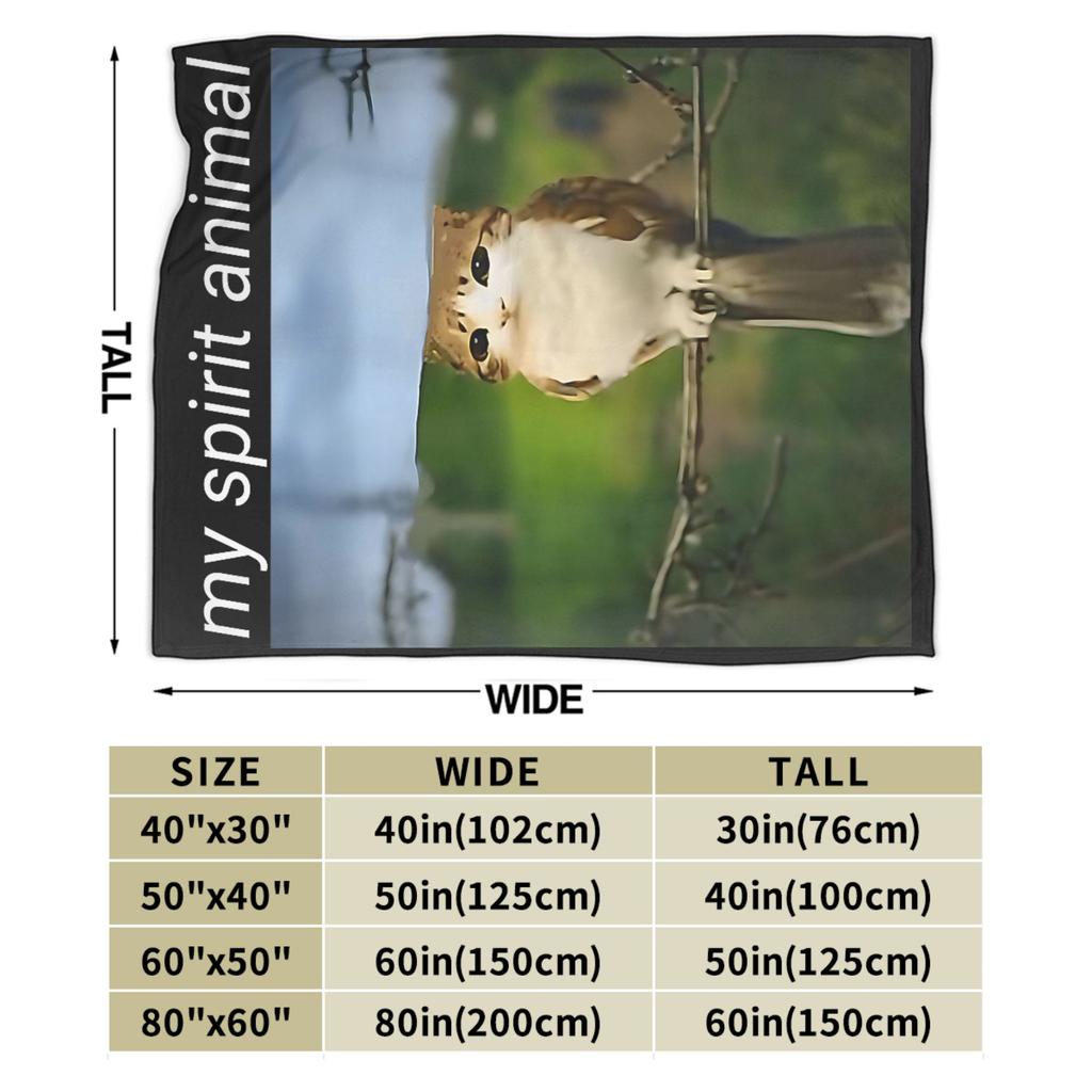 Моё тотемное животное Забавный мем с мяуканьем Плед Супер тёплый кот с совой Мем мозговая депрессия Плед Зимний дорожный диван Кровать Покрывало