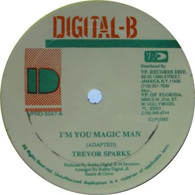 12-дюймовая пластинка TREVOR SPARKS - I'm You Magic Man / I'm Ready VPRD5047 Digital-B 1992 США Регги, Ска и Даб Б/у