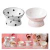 Ceramic Tilted Raised Cat Food Bowl Slant Porcelain Pet Dish for S, Small Dogs+Ceramic