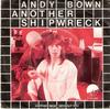 7-дюймовая пластинка ЭНДИ БАУН Another Shipwreck 5C00606986 EMI 1978 Нидерланды Рок Б/у
