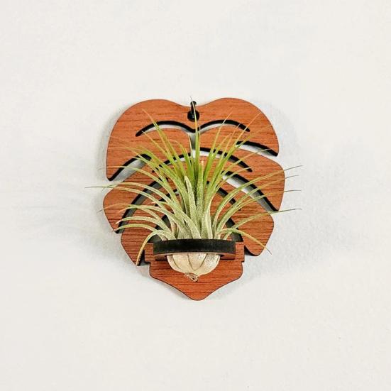 Настенный держатель для тилландсии, деревянная геометрическая подставка для тилландсии, деревенский настенный плантатор для декора дома, гостиной, спальни