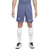 Мужские спортивные брюки для футбола Dri Fit, цвет Diffusion Blue FN9390-491